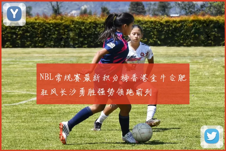 NBL常规赛最新积分榜香港金牛合肥狂风长沙勇胜强势领跑前列
