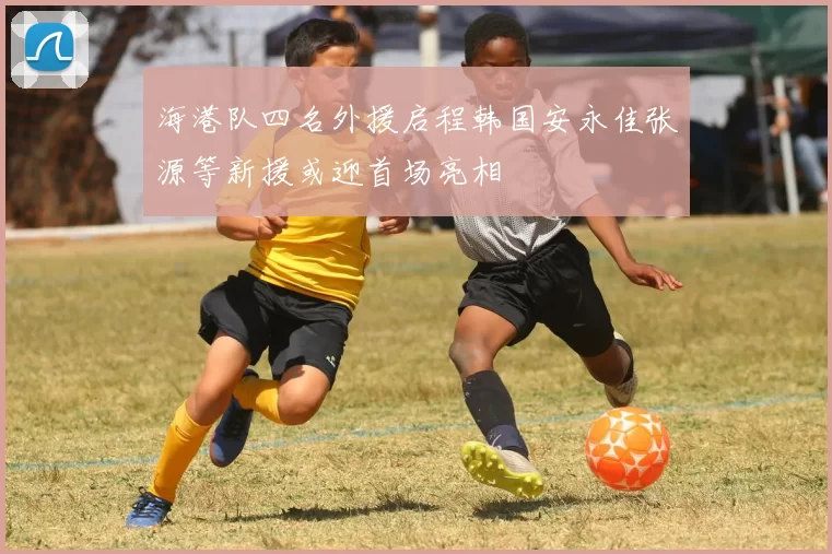 海港队四名外援启程韩国安永佳张源等新援或迎首场亮相